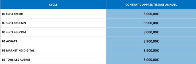 tableau récapitulant les budgets des formations ipac bachelor factory en alternance