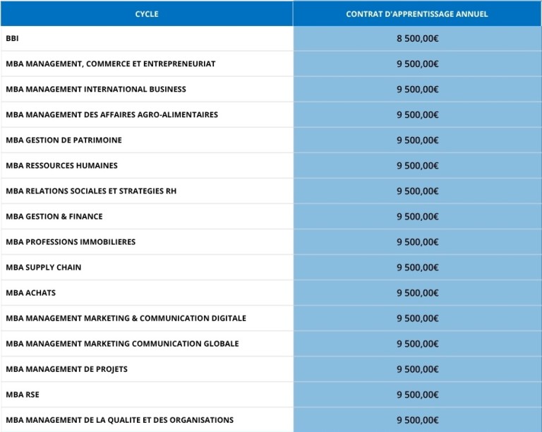 tableau récapitulant les budgets des formations mbway en alternance