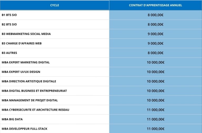 tableau récapitulant les budgets des formations mydigitalschool en alternance