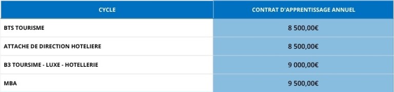 tableau récapitulant les budgets des formations Tunon en alternance